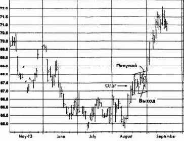 ����������� �����, �������� 1993 �������� �������