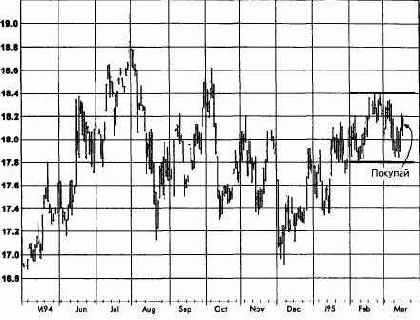 ����� �����, ���� 1995 ������� �������� �������