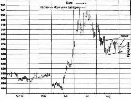 ������ ����, ������ 1993 ������� �������� �������