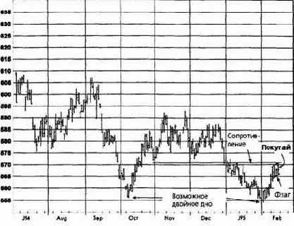 ������ ����, ��� 1995 ������� �������� �������