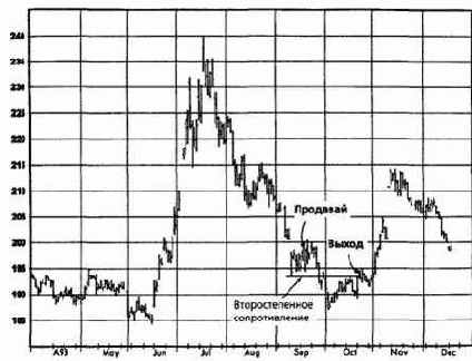 ������ ����, ������� 1993 �������� �������