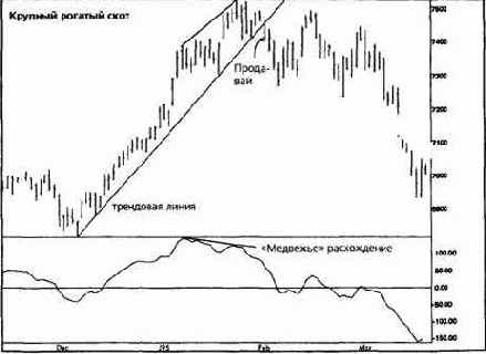 � ������������ ��� ����� �������� 