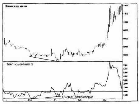 ���� ����� �� ����� ������� 