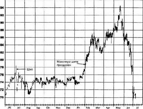 ������ ���� �����: ������, ���� 