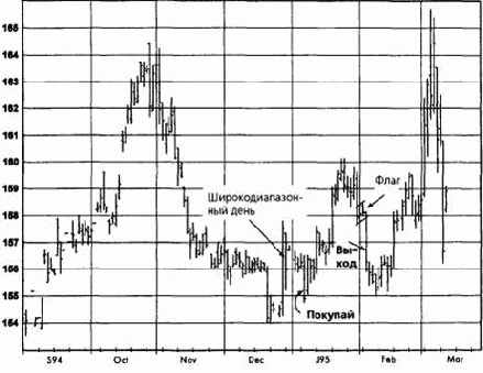 ���� ����������, ���� 1995 �������� �������