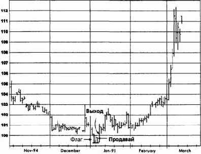 �������� ����, ��� 1995 �������� �������