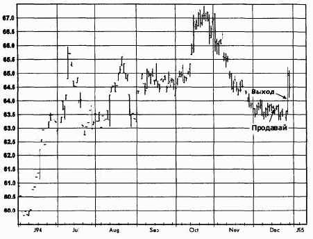 �������� �����, ���� 1995 �������� �������