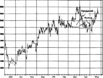 �������, ��� 1994 �������� �������