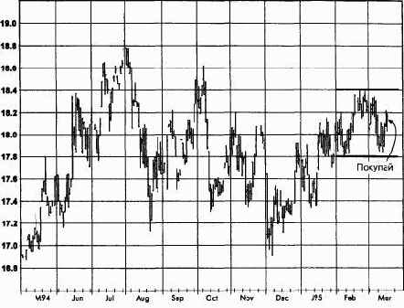 ����� �����, ���� 1995 ������� �������� �������