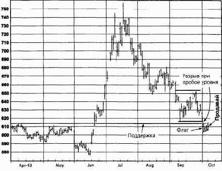 ������ ����, ������ 1993 ������� �������� �������