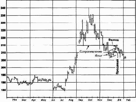 ������ ����, ������� 1993 �������� �������