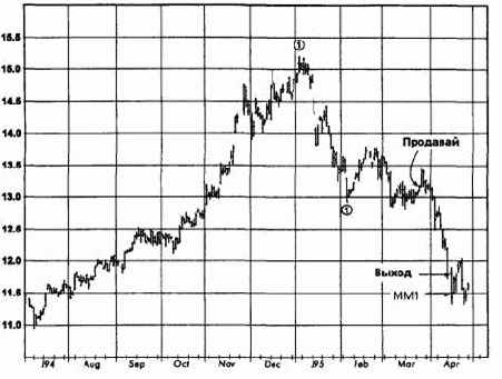 �����, ���� 1995 �������� �������