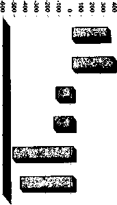 ������������� ������ -  �.�. �����������