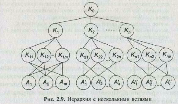 ������������������ �����