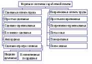 ���� �����