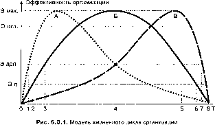 Г. Р. Латфуллин, А. В. Райченко - Теория организации