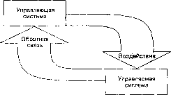 Г. Р. Латфуллин, А. В. Райченко - Теория организации