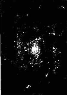 ��� ������� ���������� ������ ���� 