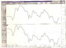 ����� �. - ������ ������