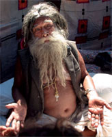 ���������� - ��� ����� ������ ���� ������� ����� Xx ����