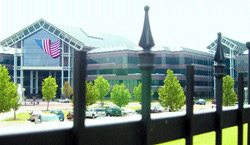 ���������� - ��� ����� ������ ���� ������� ����� Xx ����