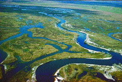 ���������� - ��� ����� ������ ���� ������� ����� Xx ����