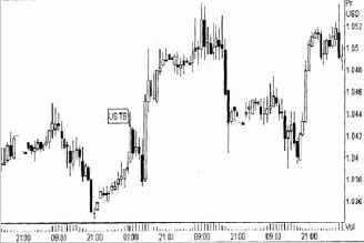 ������������� ��������