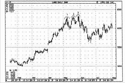 � ������ �� ���� ���, 