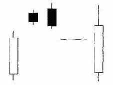 Две взлетевшие вороны