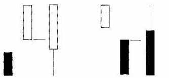 ���� (���� ���)