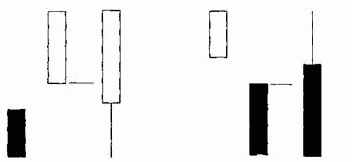 ���� (���� ���)