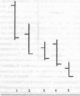 ���� �������������