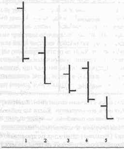 ���� �������������