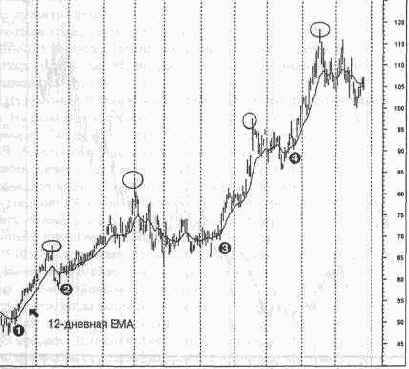 ������� �������� ��������