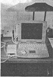 ������������� �������� �����