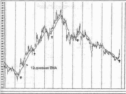 ����� ����� �������