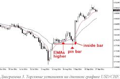 ����� �. - �������� �����������