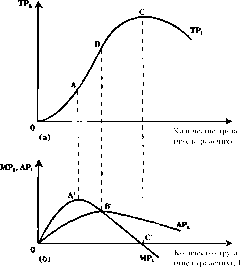 ������� - ���� ������������� ������