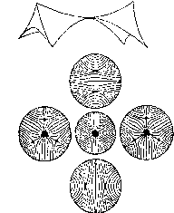 ���� - ��������������� ���������. ����� � �������� � ���������� ������������� ������