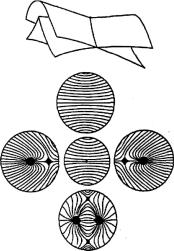 ���� - ��������������� ���������. ����� � �������� � ���������� ������������� ������