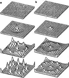 ���� - ��������������� ���������. ����� � �������� � ���������� ������������� ������