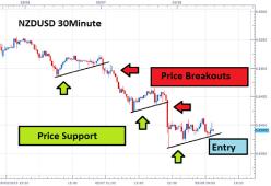  ������� �. - ����� ����������