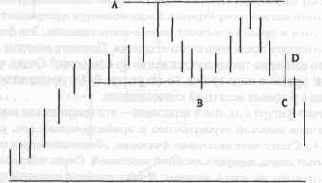 ��� ������ ���� ������ ���� 