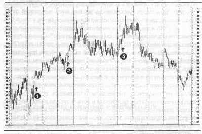 ��� ���������� ����� ���� ������ 