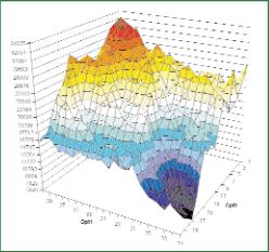 ���� ��������, ���������� �������� - ���������� ������ ������������ ������