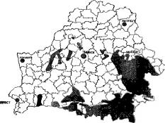 Борисевич В. И. - Экономика региона