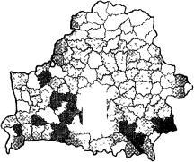 Борисевич В. И. - Экономика региона