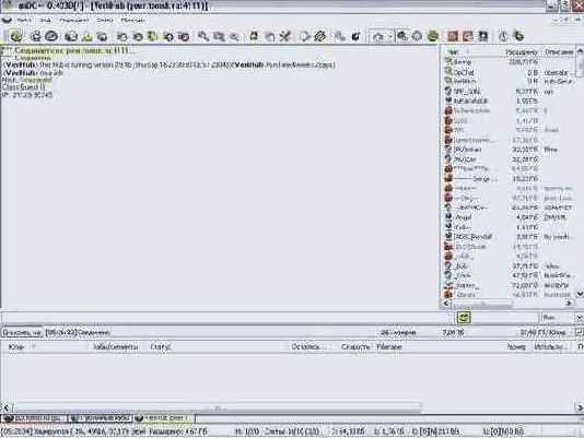 ��������� �������� ���� rmDC++.