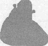  ����������� ����