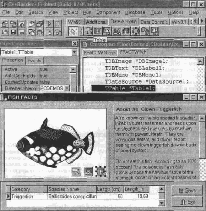 ���������� ������� Data Access
